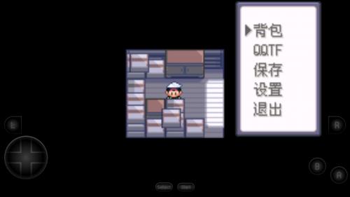 口袋妖怪漆黑的魅影45