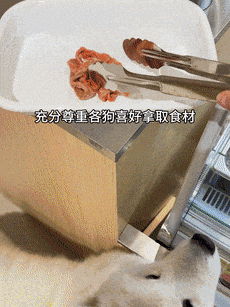 麻辣烫25一斤全是真肉上海狗有福了！不朽情缘试玩版破防了！上海惊现狗狗(图4)