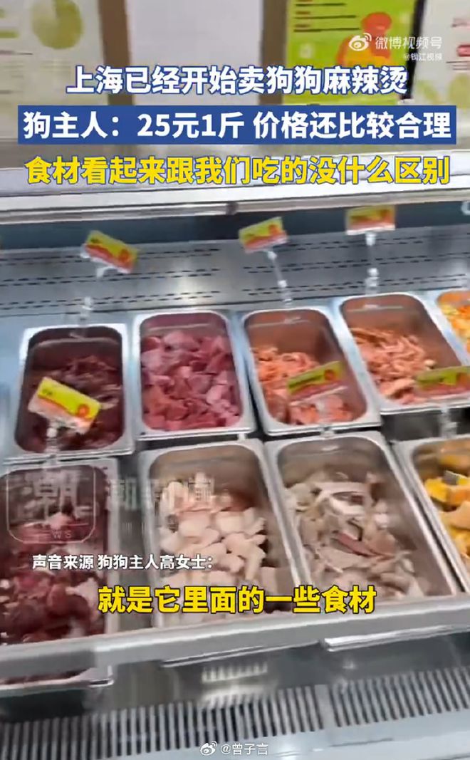 麻辣烫25一斤全是真肉上海狗有福了！不朽情缘试玩版破防了！上海惊现狗狗(图3)