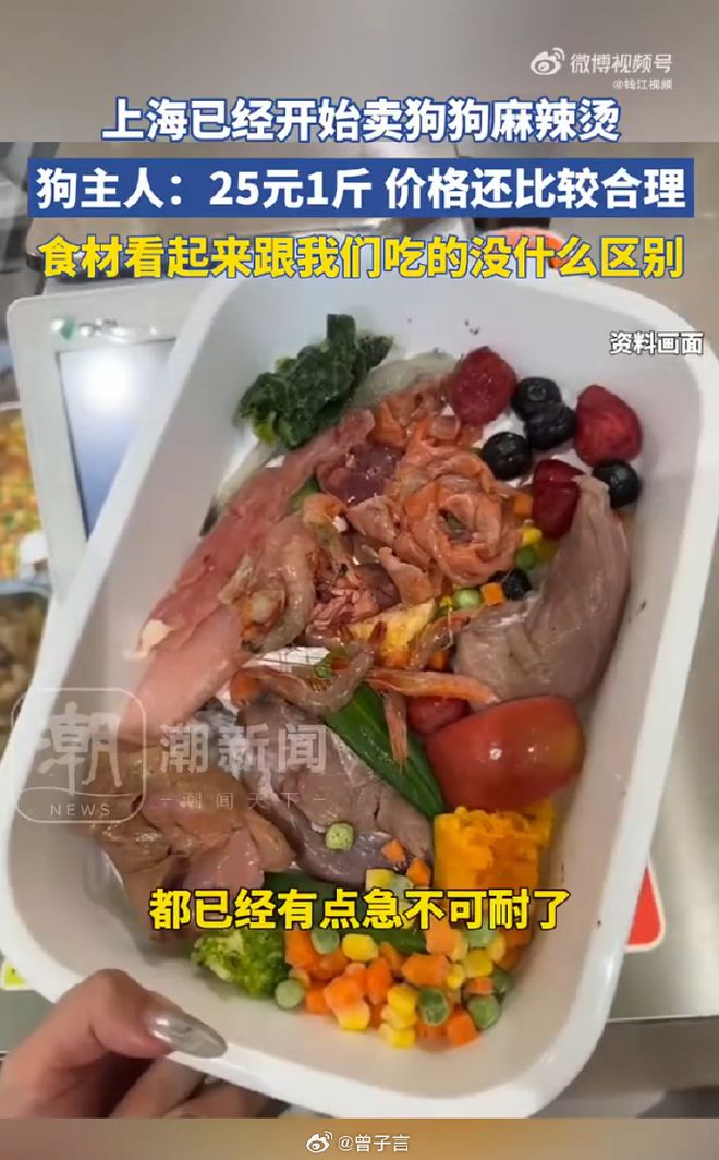 麻辣烫25一斤全是真肉上海狗有福了！不朽情缘试玩版破防了！上海惊现狗狗(图5)