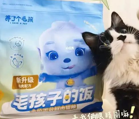 口粮！三只松鼠靠什么重返宠物食品赛道不朽情缘游戏入口零食巨头盯上毛孩子(图1)