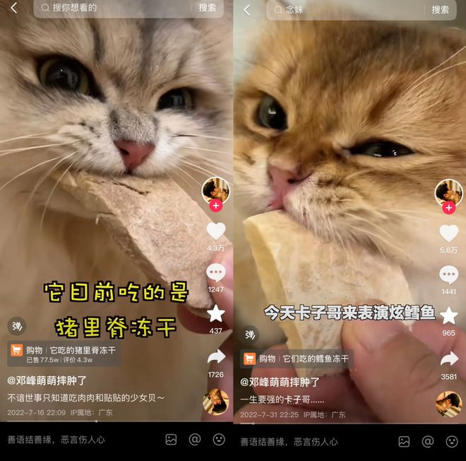 p3这条千亿赛道杀出一匹黑马不朽情缘年销