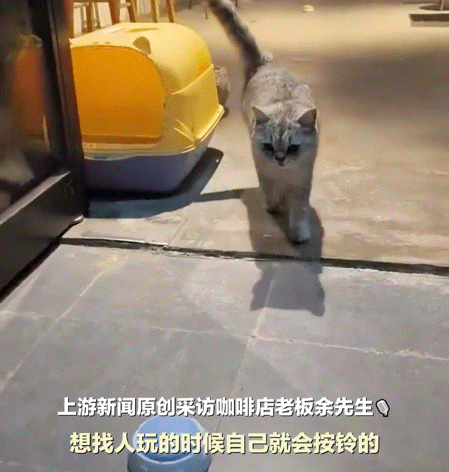 服务员”立马上前喊道二楼贵宾两位不朽情缘首页网友路过一家咖啡店“(图1)