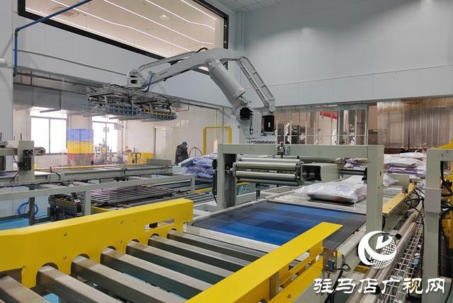 “双十二” 多措并举冲刺四季度目标不朽情缘宠世纪宠物食品：全力迎战(图2)